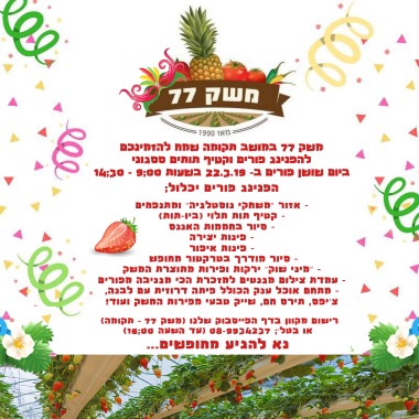 פורים במשק 77